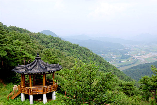 주소 : 충북 괴산군 괴산읍 남산길 35-116 (동부리)