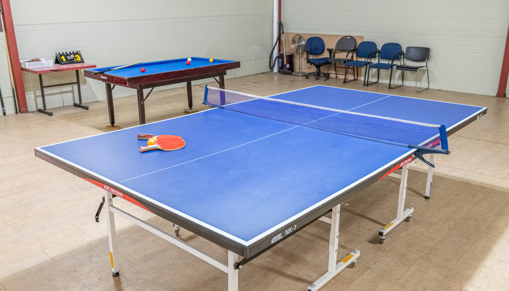 thum-pingpong