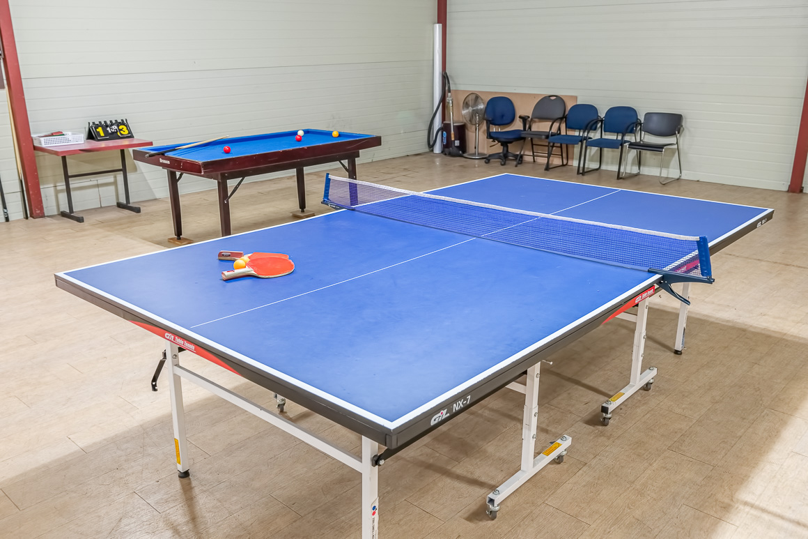 thum-pingpong